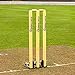 Algopix Similar Product 8 - FORTRESS Spring Back Cricket Stumps 