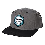 Algopix Similar Product 8 - JINX Brand Distortion Skully Snapback
