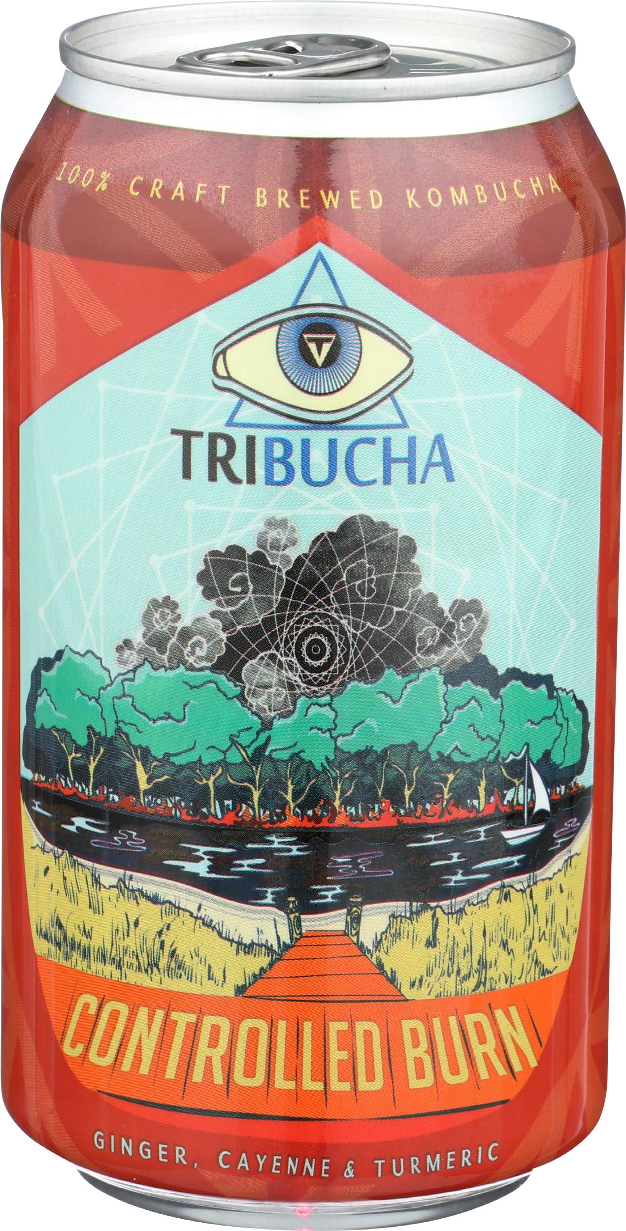 Algopix Similar Product 2 - Tribucha Kombucha Tea Controlled Burn