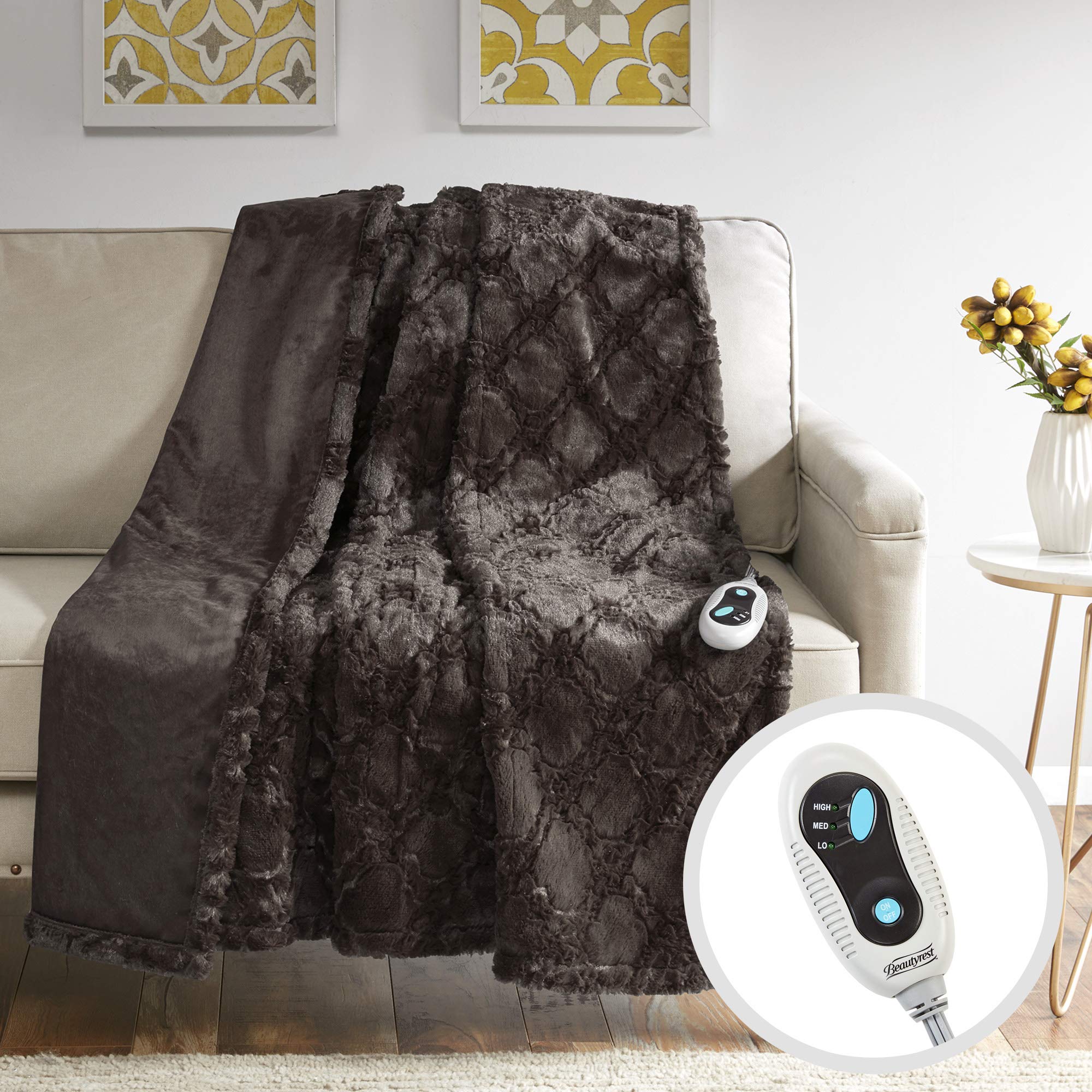 Algopix Similar Product 14 - Beautyrest Brushed Long Fur Electric