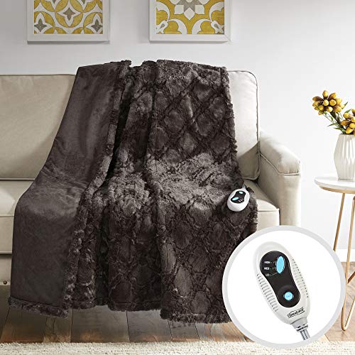Algopix Similar Product 20 - Beautyrest Brushed Long Fur Electric