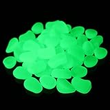 Algopix Similar Product 5 - 100pcs Glow in The Dark Fish Tank