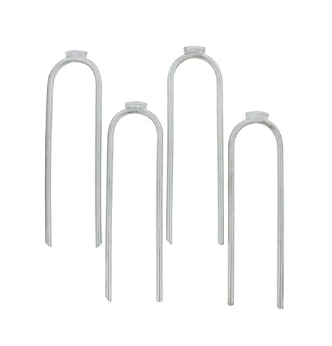 Algopix Similar Product 5 - Get Out ExtraLarge 12in x 234in