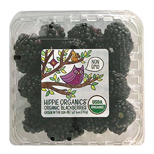 Algopix Similar Product 10 - Alpine Fresh Domestic Organic