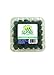 Algopix Similar Product 19 - Alpine Fresh Pint Domestic Conventional