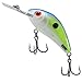 Algopix Similar Product 5 - Salmo Rattlin Hornet 45 Floating Sexy