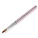 Algopix Similar Product 10 - BQAN Kolinsky Acrylic Nail Brush