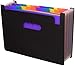 Algopix Similar Product 7 - 24 Pockets Expanding Files Folder A4