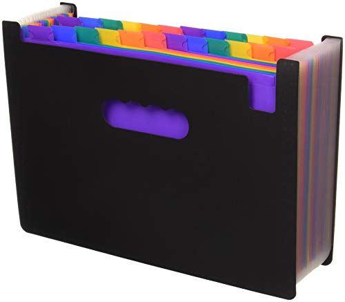 Algopix Similar Product 2 - 24 Pockets Expanding Files Folder A4