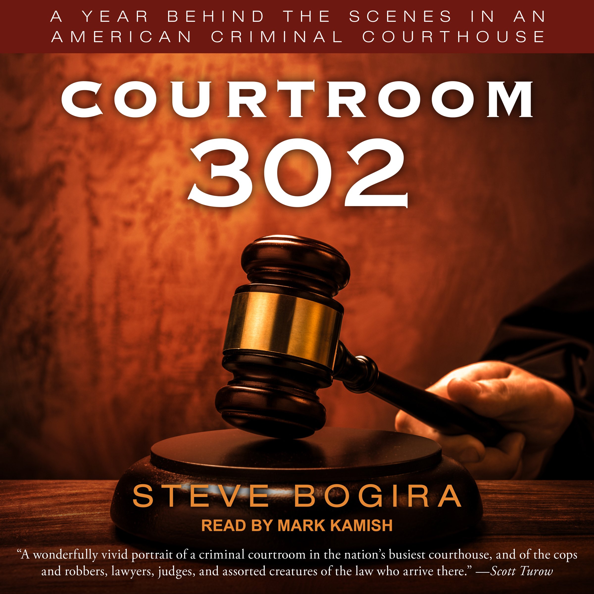 Algopix Similar Product 17 - Courtroom 302 A Year Behind the Scenes