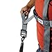 Algopix Similar Product 15 - Professional Movers Tool  Shoulder