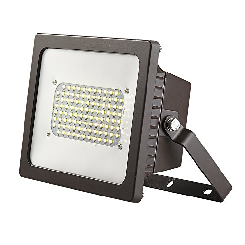 Algopix Similar Product 1 - Acclaim Lighting 1423BZ Floodlight
