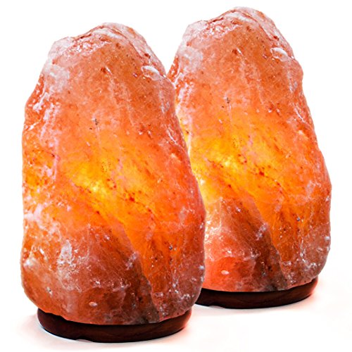 Algopix Similar Product 4 - Natural Himalayan Salt Lamp Hand
