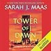 Algopix Similar Product 4 - Tower of Dawn