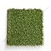 Algopix Similar Product 6 - Diy lawn flooringoutdoor