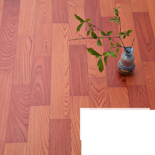 Algopix Similar Product 5 - Nonslip