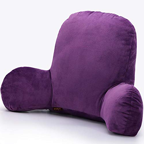Algopix Similar Product 11 - Wwang Crystal Plush Reading Pillow