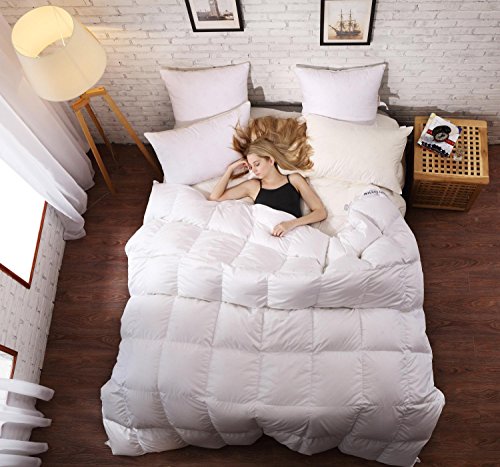 Algopix Similar Product 8 - SLEEP RHYTHM Luxurious Goose Down