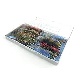 Algopix Similar Product 17 - Tacky Fishing The Predator Fly Box