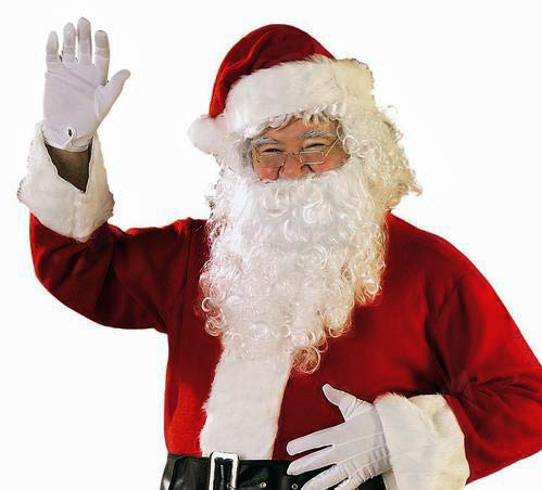 Algopix Similar Product 10 - TopWigy Santa Claus Wig and Beard Set
