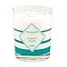 Algopix Similar Product 4 - MAISON BERGER Aquatic Candle Anti