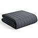 Algopix Similar Product 13 - YnM Exclusive 15lbs Weighted Blanket