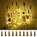 Algopix Similar Product 16 - LoveNite Wine Bottle Lights with Cork