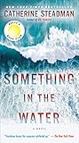 Algopix Similar Product 3 - Something in the Water: A Novel