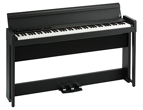 Algopix Similar Product 9 - Korg 88Key Keyboards Pianos