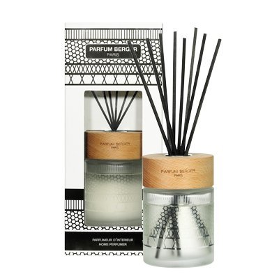 Algopix Similar Product 6 - Maison Berger  Scented Bouquet 