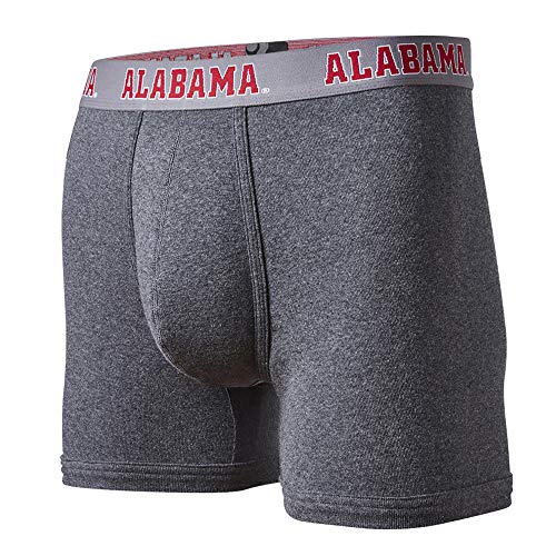 Algopix Similar Product 20 - FANDEMICS NCAA University of Alabama