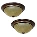 Algopix Similar Product 17 - Project Source 2Pack 13in W Bronze