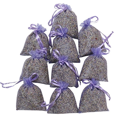 Algopix Similar Product 9 - RakrisaSupplies Purple Bags Pack of 15