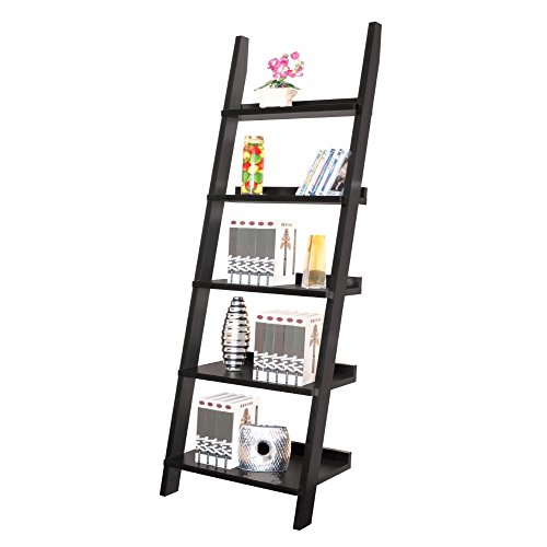 Algopix Similar Product 17 - Exhibiting Modern Ladder Bookcase with