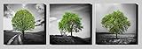 Algopix Similar Product 11 - Epic Graffiti Vibrant Tree Series