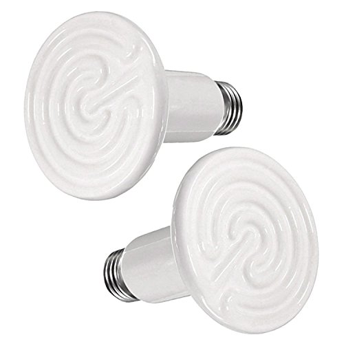 Algopix Similar Product 12 - OMAYKEY 2 Pack 75W Ceramic Heat