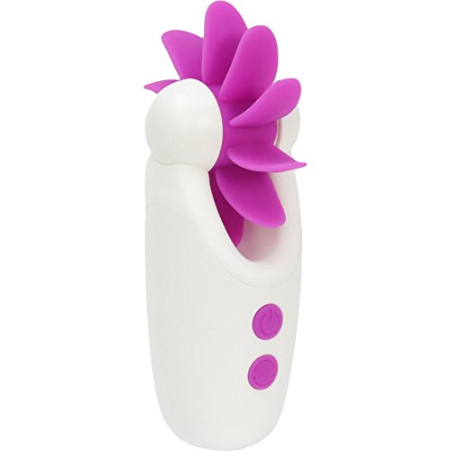 Algopix Similar Product 3 - 