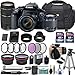 Algopix Similar Product 13 - Canon EOS Rebel T7i 242 MP DSLR Camera