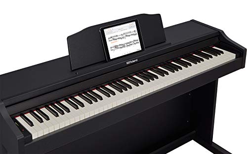 Algopix Similar Product 10 - Roland RP102 88key Weighted Keyboard
