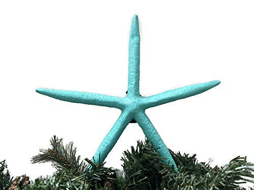 Algopix Similar Product 7 - Tropical Turquoise Finger Starfish