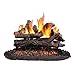 Algopix Similar Product 20 - Peterson Real Fyre 24inch Coastal