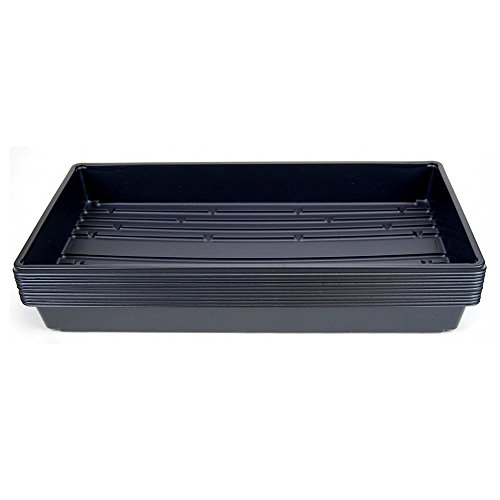 Algopix Similar Product 5 - Hydro Crunch D94000170010PK 10 x 20