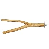 Algopix Similar Product 3 - Natural Branch Forked  Durable