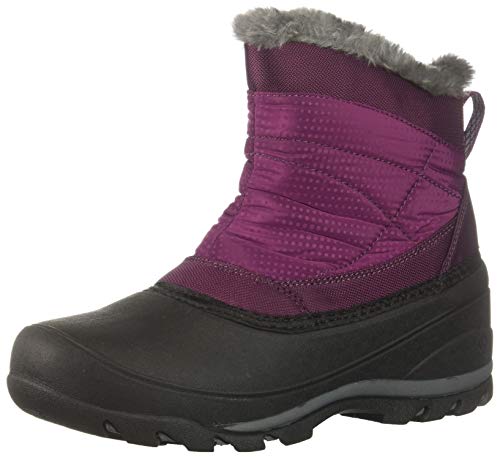 Algopix Similar Product 4 - Northside Womens Alana Snow Boot