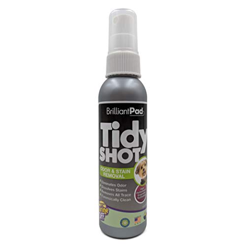 Algopix Similar Product 8 - BrilliantPad TidyShot Enzymatic Spray 