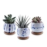 Algopix Similar Product 8 - T4U 25 Inch Ceramic Succulent Planter