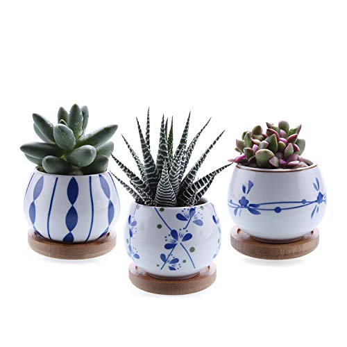 Algopix Similar Product 18 - T4U 25 Inch Ceramic Succulent Planter