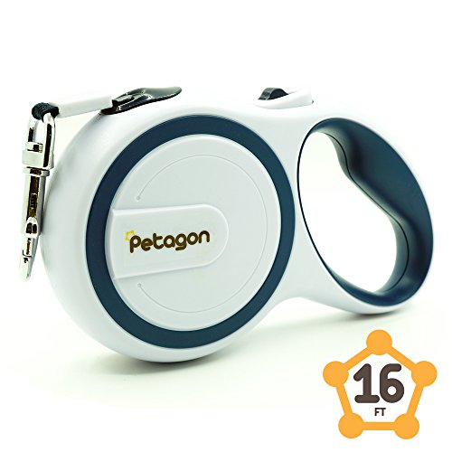 Algopix Similar Product 19 - 