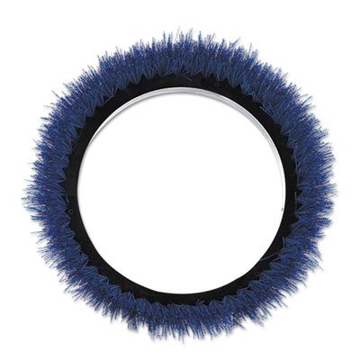 Algopix Similar Product 16 - Orbiter Scrubbing Brush 12 dia