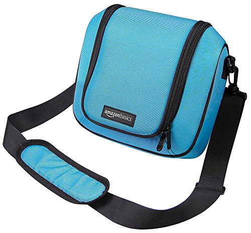Algopix Similar Product 2 - Amazon Basics Travel Bag for New